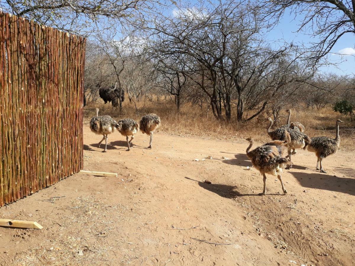 Eagle'S Crest Villa Marloth Park Exterior photo